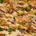 Woodfin Street - leaves on the ground.